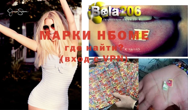 PSILOCYBIN Алзамай