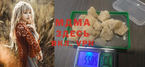 PSILOCYBIN Алзамай