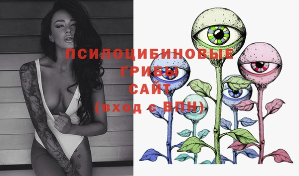 PSILOCYBIN Алзамай
