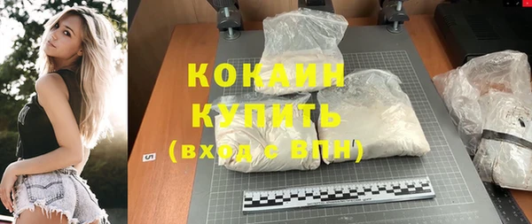 молекула духа Алексин