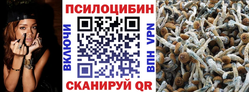 Галлюциногенные грибы Psilocybine cubensis  где найти   Новоаннинский 